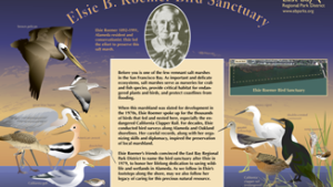 Elsie B. Roemer bird sanctuary
