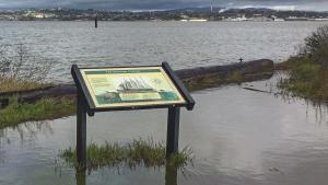 Sea level rise at Martinez Regional Shoreline
