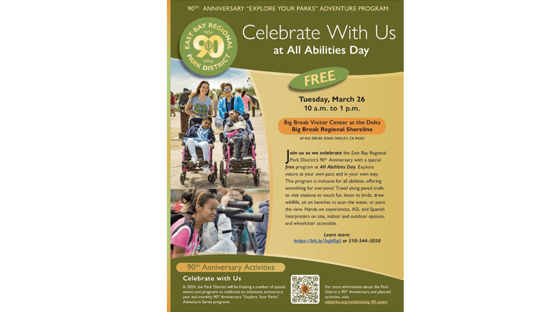 All Abilities Day Flyer