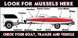 Boat check diagram for mussels