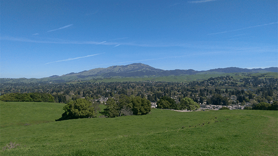 Mount Diablo seen from the Elworthy property in spring 2017