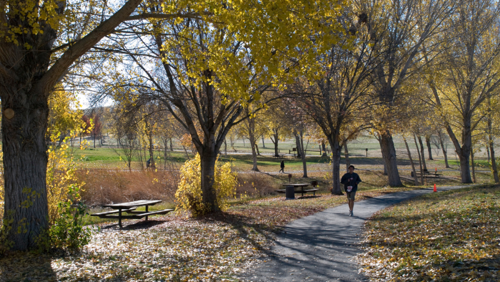 ***UPDATED*** Regional Parks Along Bay Shoreline And Delta Reopened ...