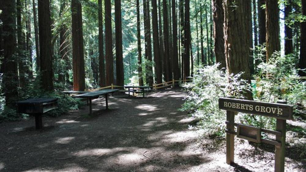 Roberts Picnic Areas - Oakland | East Bay Parks