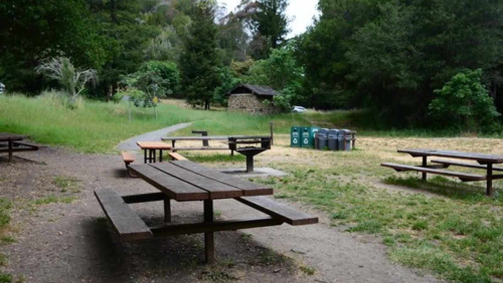 Tilden Picnic Areas - Berkeley | East Bay Parks