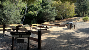 Acadia Picnic Area 1