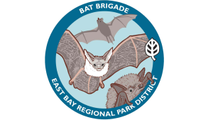 Bat Brigade