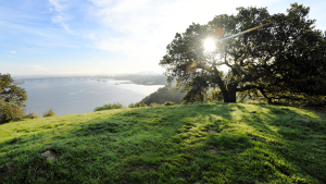 Carquinez Strait Crocket Hills History