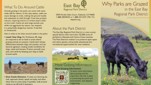 Grazing Animals Brochure 16x9