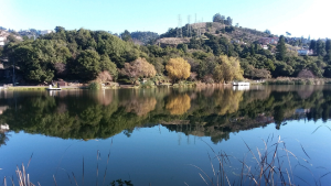 LakeTemescalDredging-RestorationProject