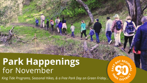 Park Happenings for November