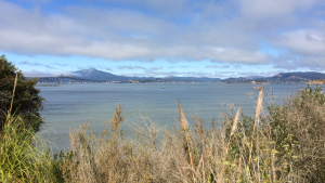 Looking west from the proposed SF Bay Trail alignment and just south of Point Molate Beach Park