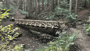 Redwood Bridge