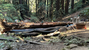 Redwood Bridge Construction