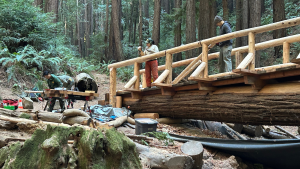 Redwood Bridge Construction