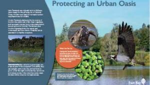 Protecting an Urban Oasis infographic - Temescal Interpretive Panel