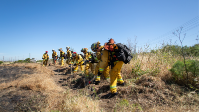 MLK Shoreline Fire Cleanup