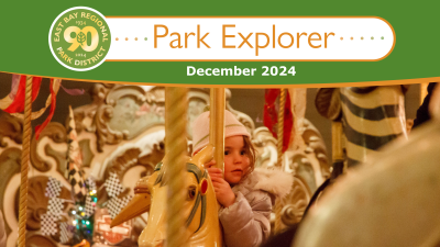 Park Explorer December 2024 Meta