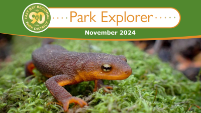 Park Explorer Nov 2024 Meta