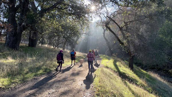 Hiking | East Bay Parks