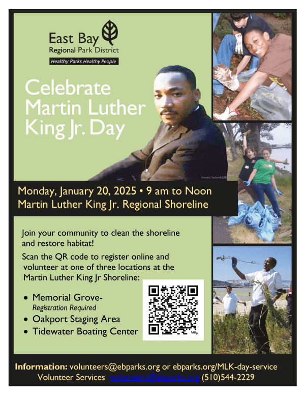 MLK Day Flyer 2025