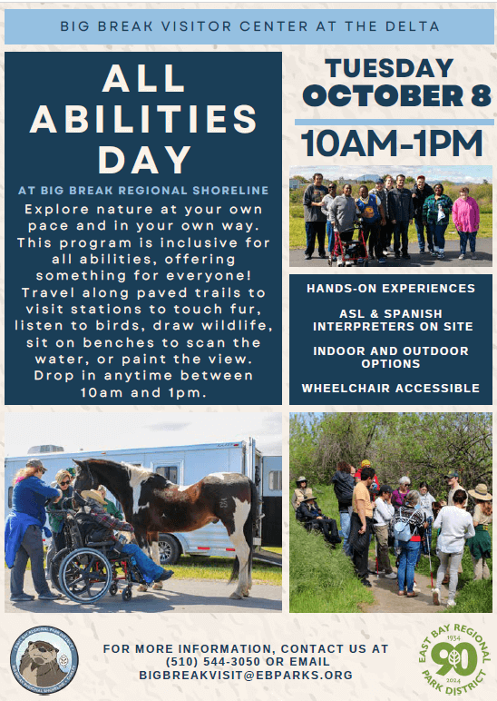 All Abilities Day