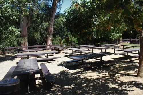 Cull Canyon Picnic Areas - Castro Valley | East Bay Parks