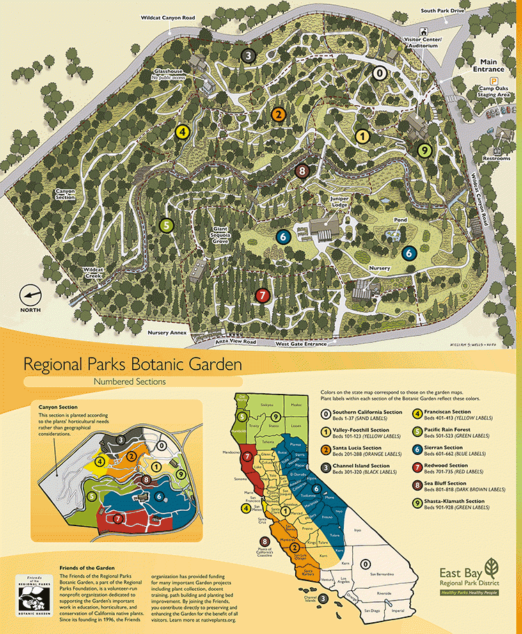 Tilden Regional Park Map Tilden Regional Parks Botanic Garden | East Bay Parks