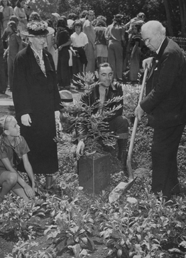 three people planting a tree, other in the background b&w