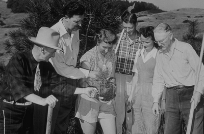 group of people looking at a giant sequioa seedling b&w