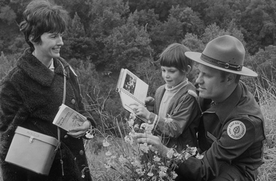 a ranger helping a child identify a plant with the parent looking on b&w